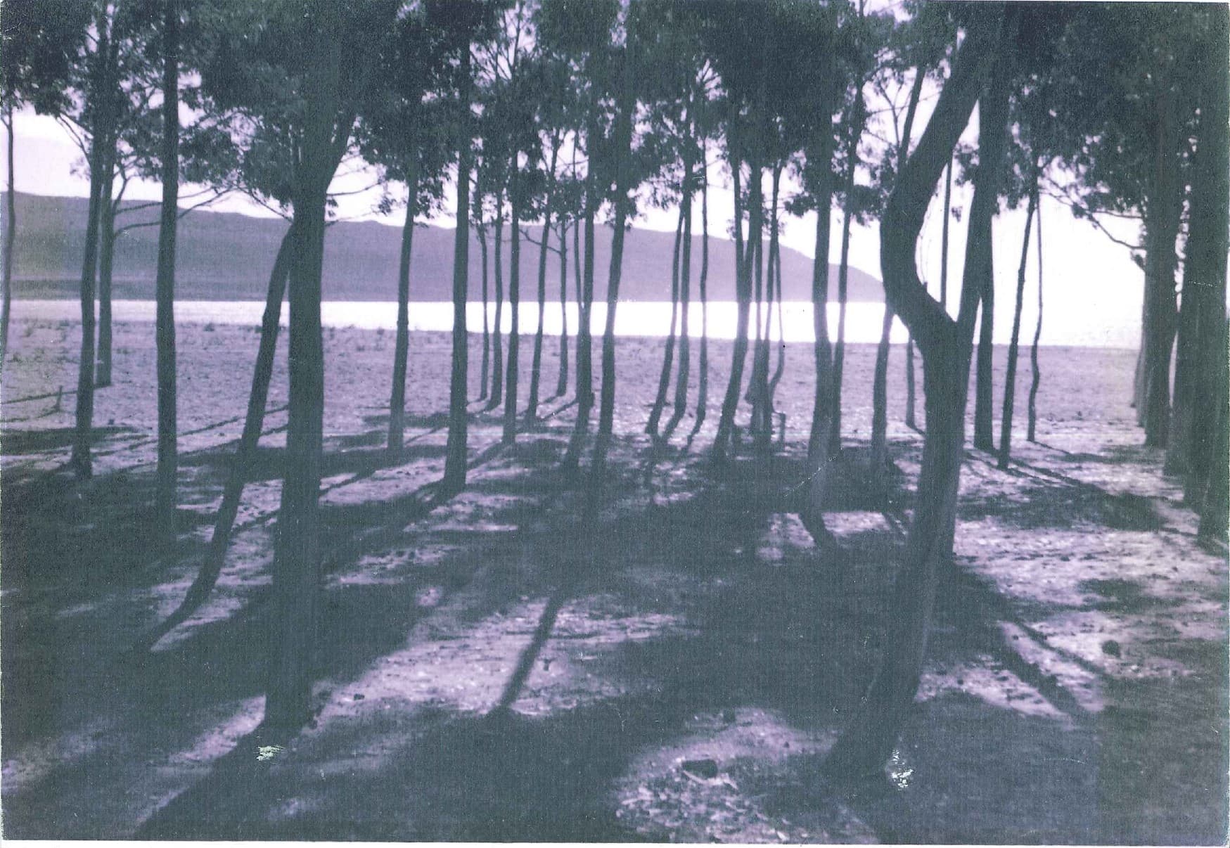 Fotografía histórica de La Herradura 0