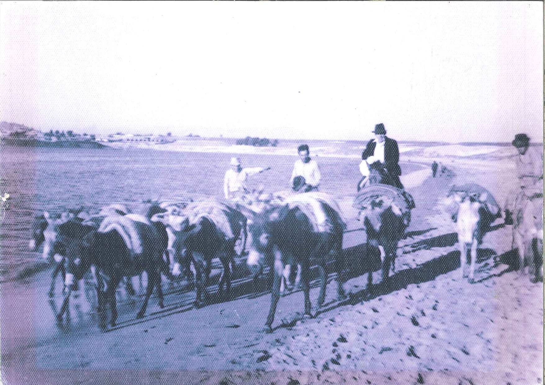 Fotografía histórica de La Herradura 2