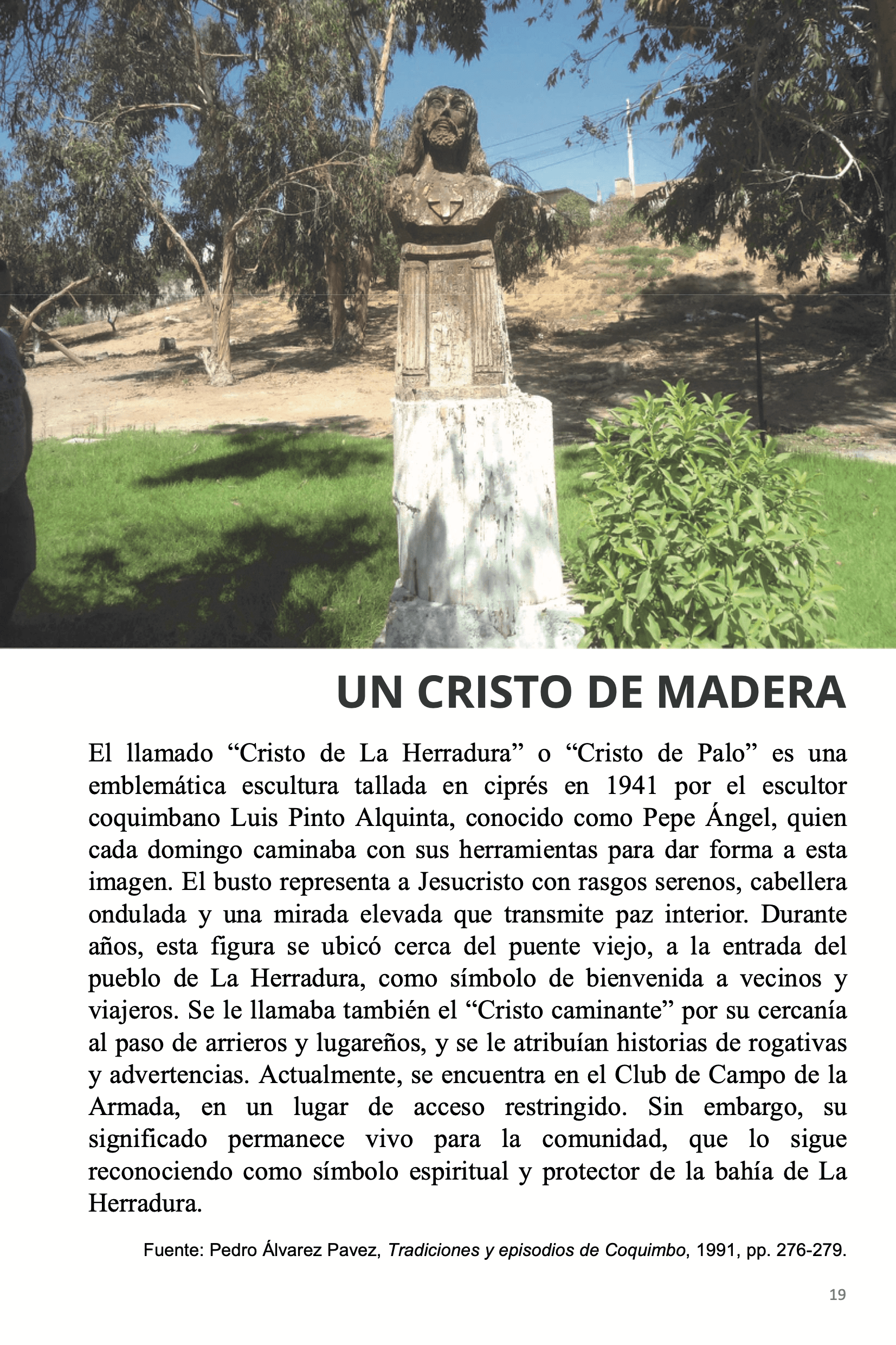 Página 19 del libro