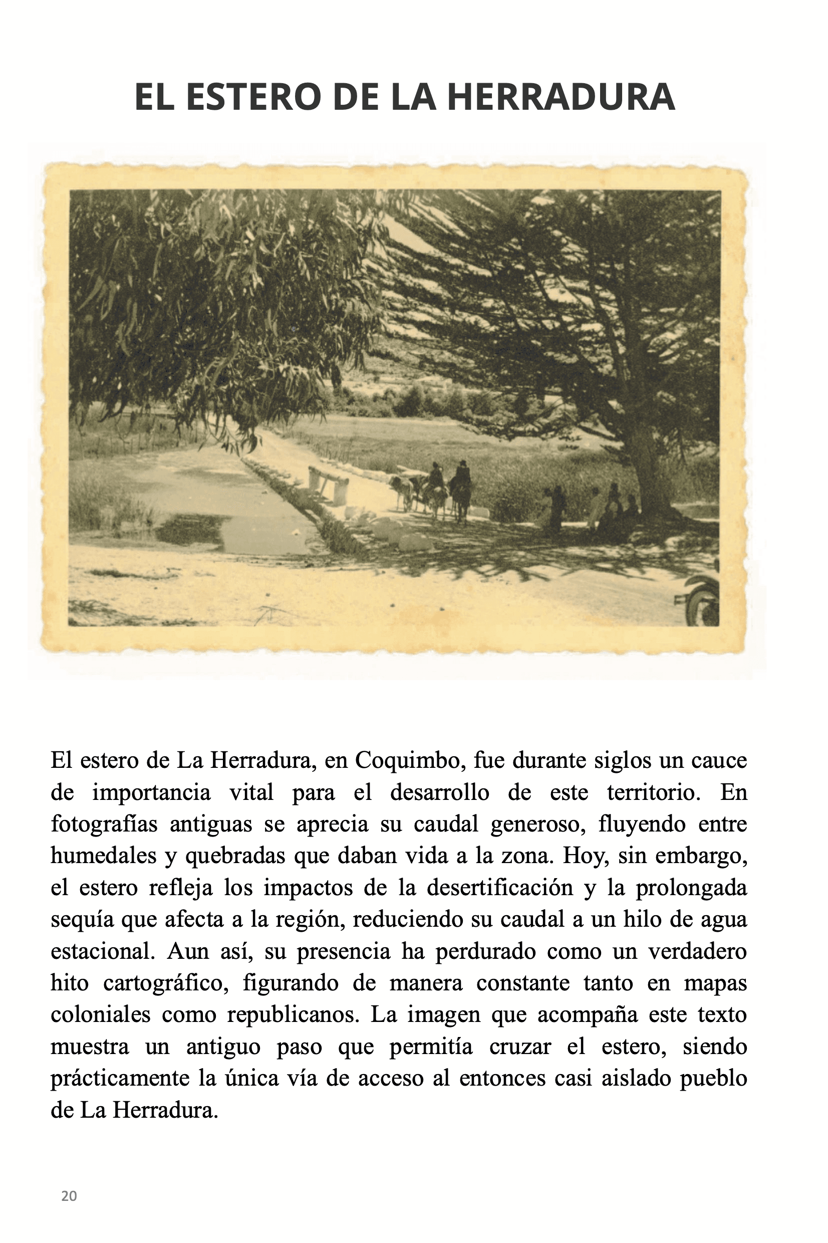 Página 20 del libro