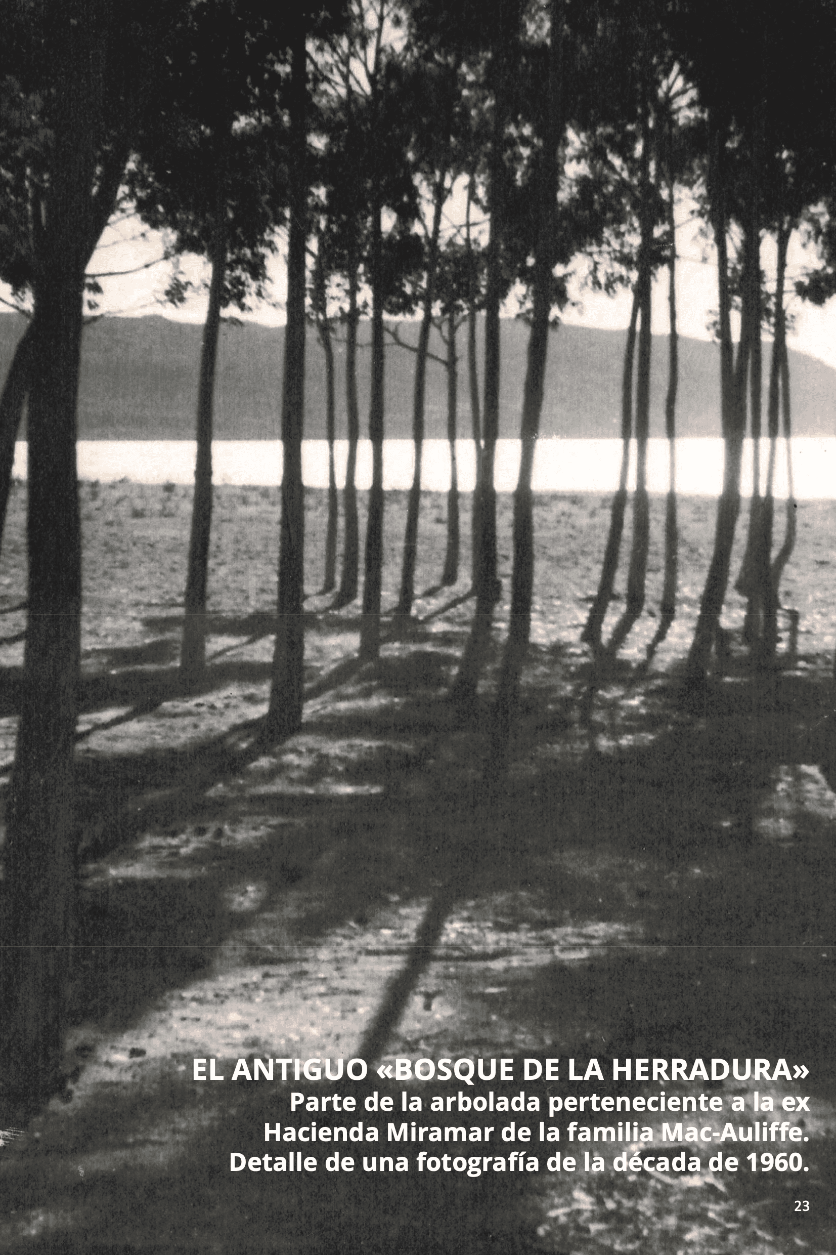 Página 23 del libro